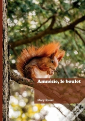 Capa do artigo Amnésie, Le Boulet