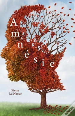 Capa do artigo Amnésie