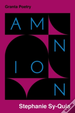 Capa do artigo Amnion