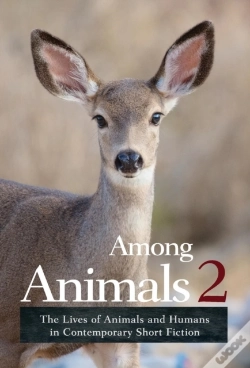Capa do artigo Among Animals 2