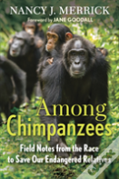 Among Chimpanzees
