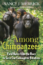 Among Chimpanzees - Preview