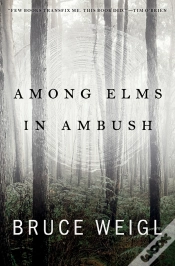 Capa do artigo Among Elms, In Ambush