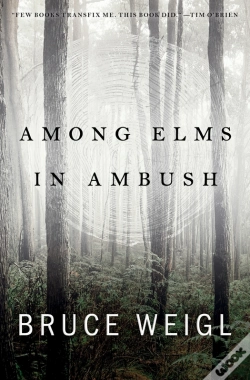 Capa do artigo Among Elms, In Ambush