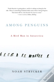 Capa do artigo Among Penguins