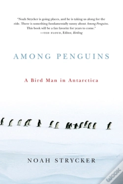 Capa do artigo Among Penguins