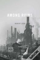 Among Ruins