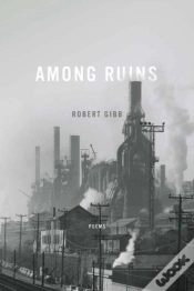 Capa do artigo Among Ruins