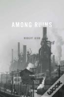 Among Ruins