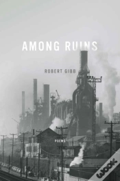 Capa do artigo Among Ruins