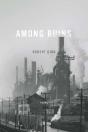 Among Ruins - Preview