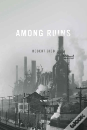 Capa do artigo Among Ruins
