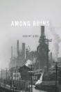 Among Ruins - Preview
