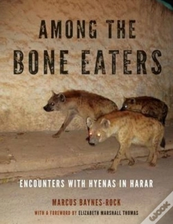 Capa do artigo Among The Bone Eaters