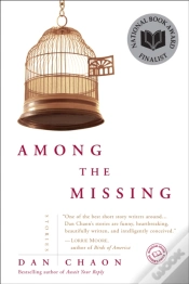 Capa do artigo Among The Missing