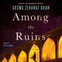 Among The Ruins - Preview