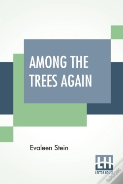 Capa do artigo Among The Trees Again