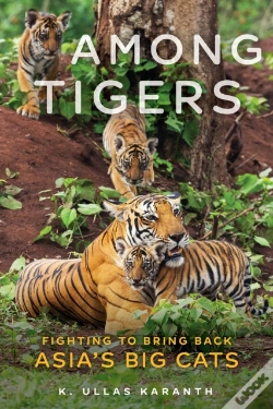 Capa do artigo Among Tigers