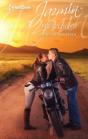 Amor De Carretera - Preview