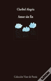 Capa do artigo Amor Sin Fin
