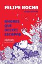 Amores Que Deixei Escapar - Preview