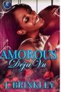 Amorous D J  Vu: A Romance Novel - Preview