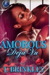 Amorous D J  Vu: A Romance Novel