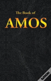 Capa do artigo Amos