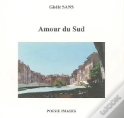 Capa do artigo Amour Du Sud