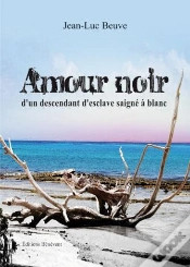 Capa do artigo Amour Noir D