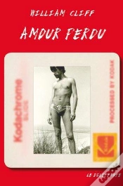 Capa do artigo Amour Perdu