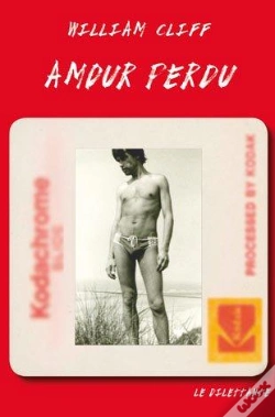 Capa do artigo Amour Perdu