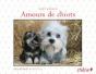 Amours De Chiots - Preview