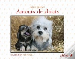 Capa do artigo Amours De Chiots