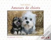 Capa do artigo Amours De Chiots
