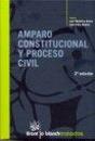 Amparo Constitucional Y Proceso Civil - Preview