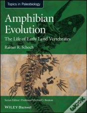 Capa do artigo Amphibian Evolution