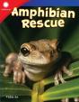 Amphibian Rescue - Preview