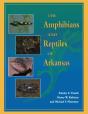 Amphibians And Reptiles Of Arkansas - Preview
