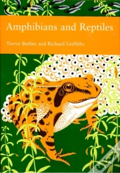 Capa do artigo Amphibians And Reptiles