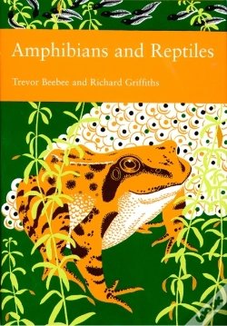 Capa do artigo Amphibians And Reptiles