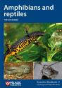 Amphibians And Reptiles - Preview