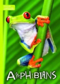 Amphibians - Preview