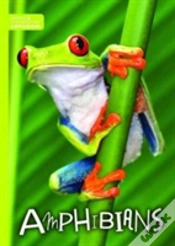 Capa do artigo Amphibians
