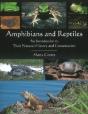 Amphibians & Reptiles - Preview