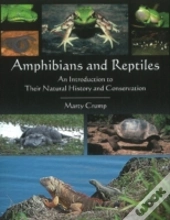 Amphibians & Reptiles