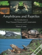 Capa do artigo Amphibians & Reptiles