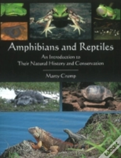 Capa do artigo Amphibians & Reptiles