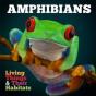 Amphibians - Preview