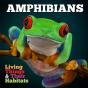 Amphibians - Preview